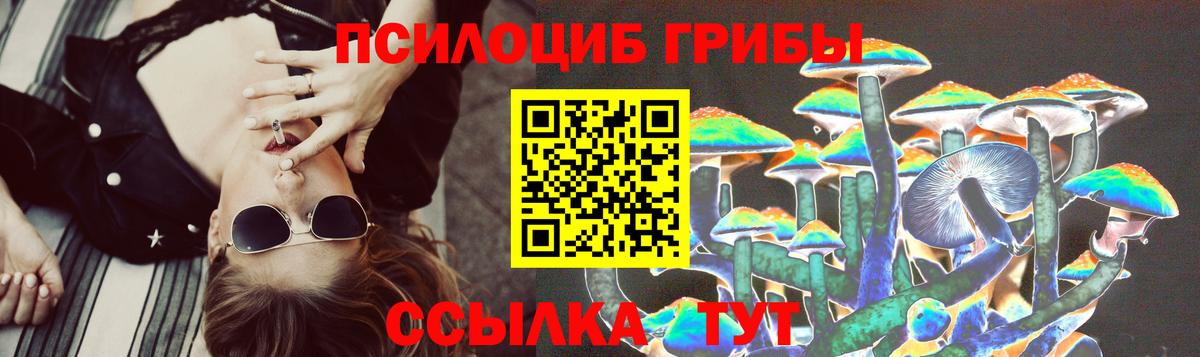 Вышний Волочёк  Галлюциногенные грибы мухоморы  Галлюциногенные грибы прущие грибы  Вход с VPN 